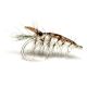Brown and Pearl Featherback Shrimp 