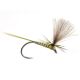 Quill & CDC Parachute Olive